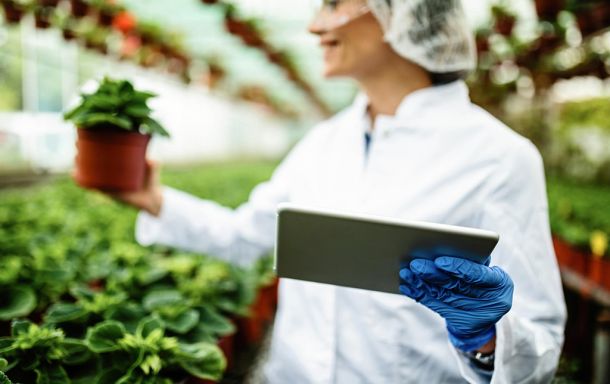 Sinergest Suite per il mercato bio