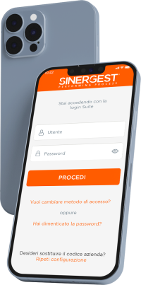 Audit da remoto