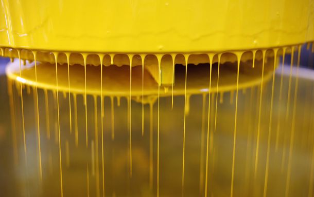 Innovazione industriale, ricerca e sostenibilità