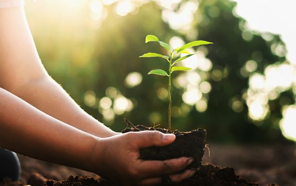 EcoEridania, controllo centralizzato ed integrato su scadenze e fornitori