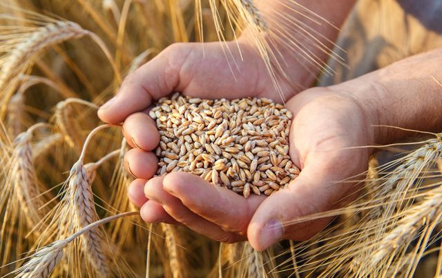 BiotoBio e la gestione dei Reclami e Non Conformità