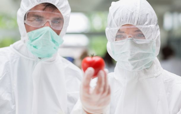 La nuova ISO 22000 per la Gestione della Sicurezza Alimentare