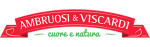 Ambruosi e Viscardi S.r.l.